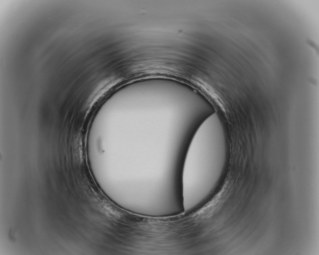 X0000097300782200802151121