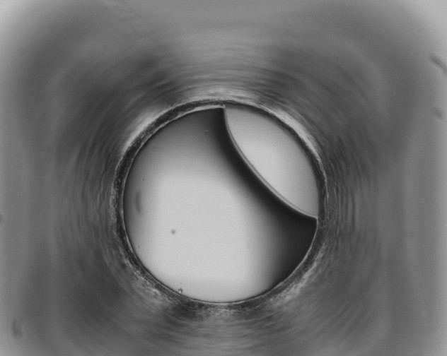 X0000097300783200802151121