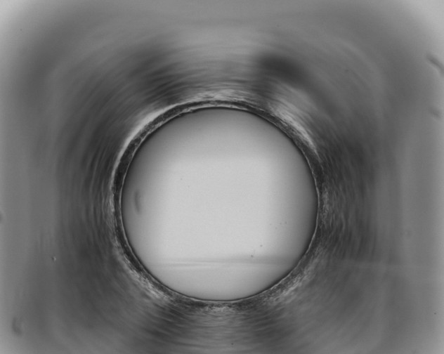 X0000097300784200802151121