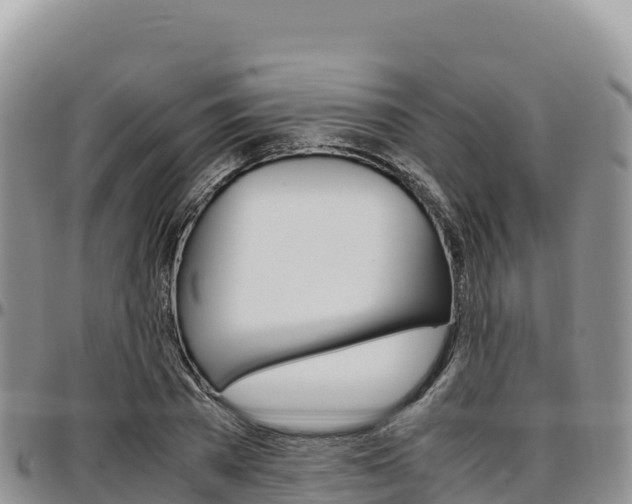 X0000097300785200802151121