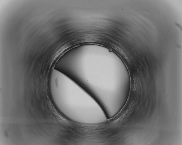 X0000097300786200802151121