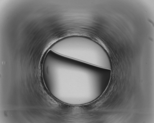 X0000097300787200802151121