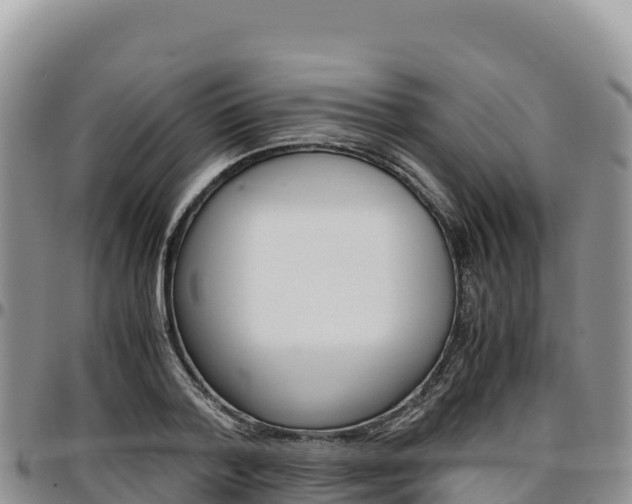 X0000097300788200802151121