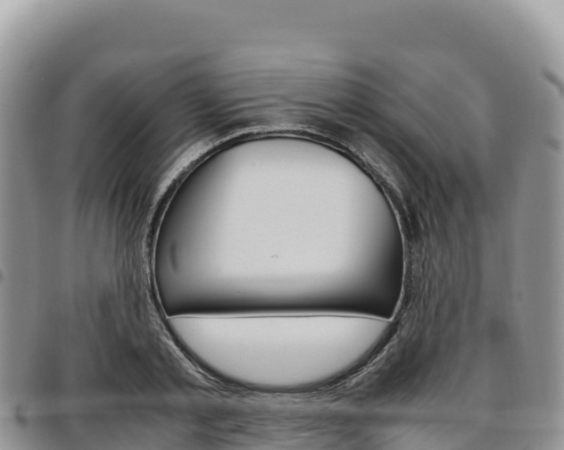 X0000097300789200802151121
