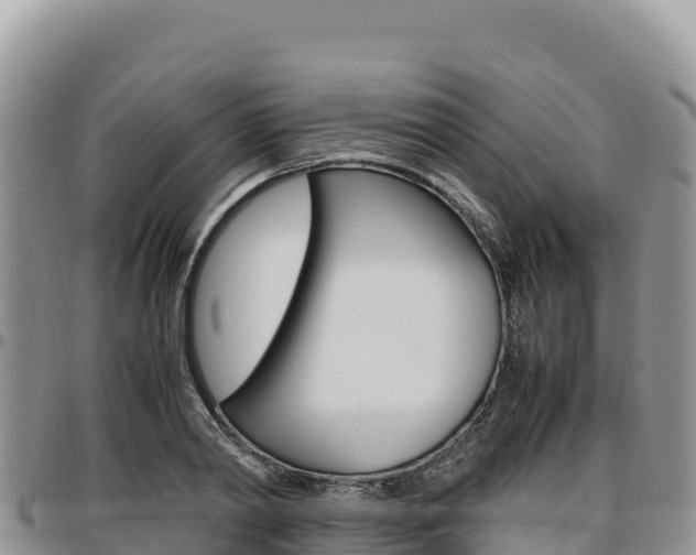 X0000097300790200802151121
