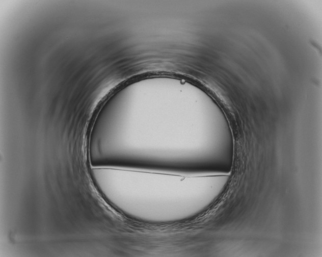 X0000097300791200802151121