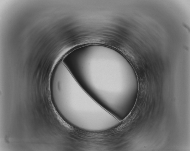 X0000097300792200802151121
