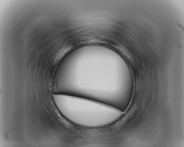 X0000097300793200802151121
