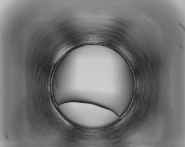 X0000097300794200802151121