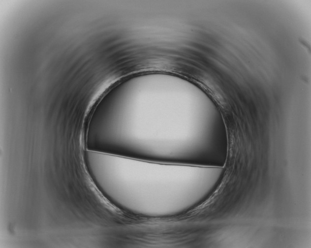 X0000097300796200802151121