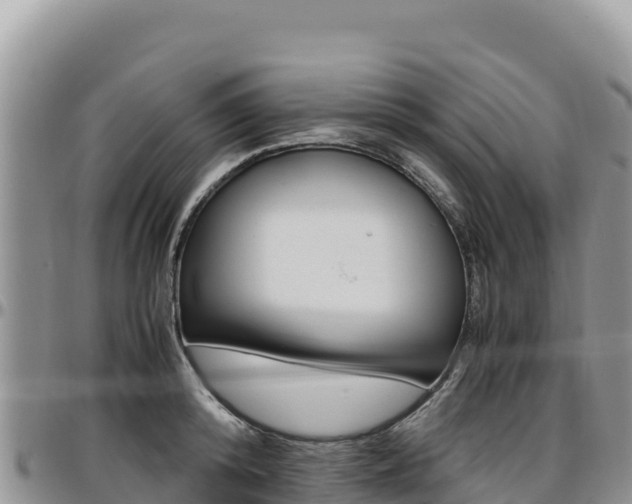X0000097300800200802151121