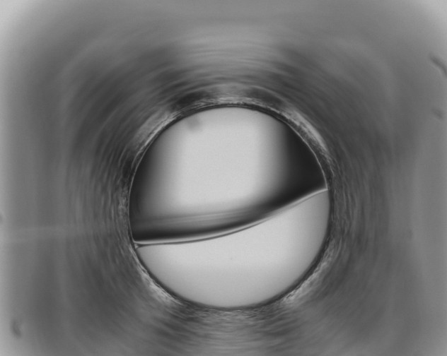 X0000097300801200802151121