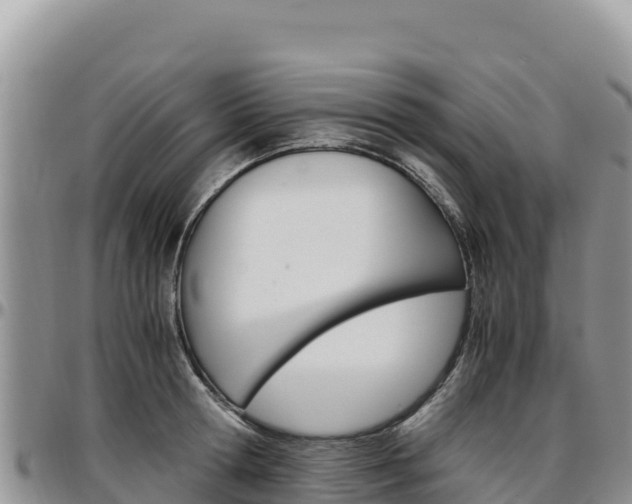 X0000097300802200802151121