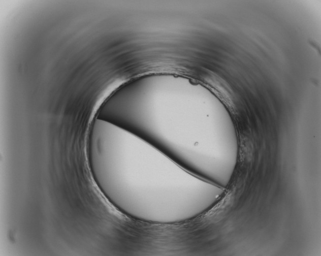 X0000097300804200802151121