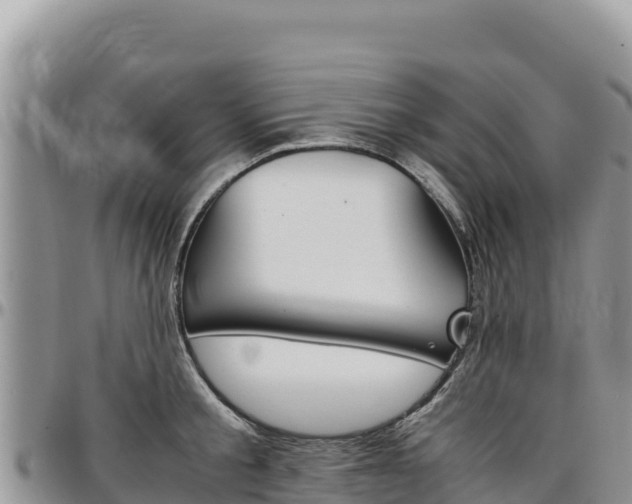 X0000097300805200802151121