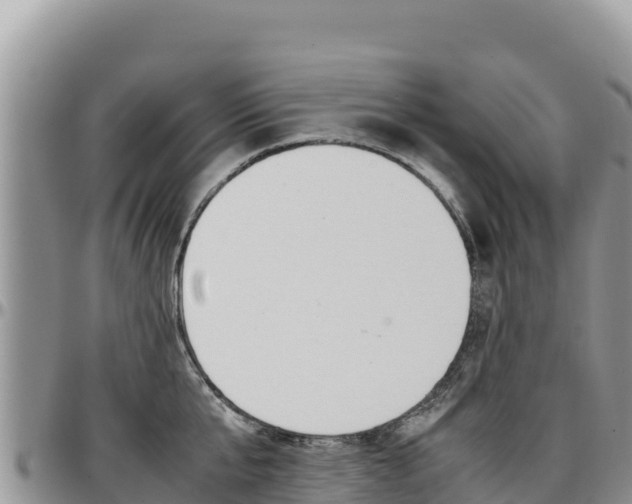 X0000097300807200802151121