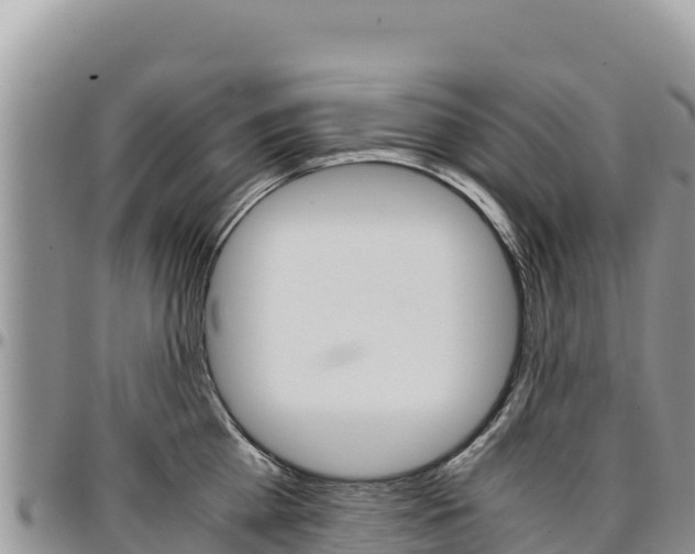 X0000097300809200802151121
