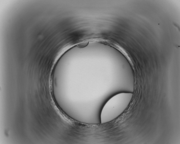 X0000097300811200802151120