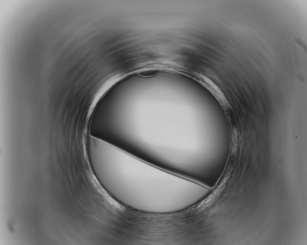 X0000097300812200802151120