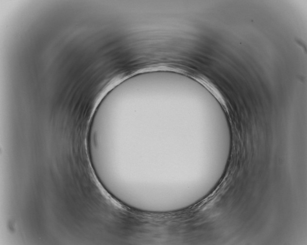 X0000097300813200802151120