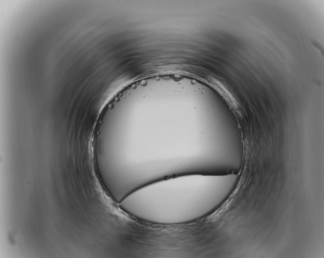X0000097300814200802151120