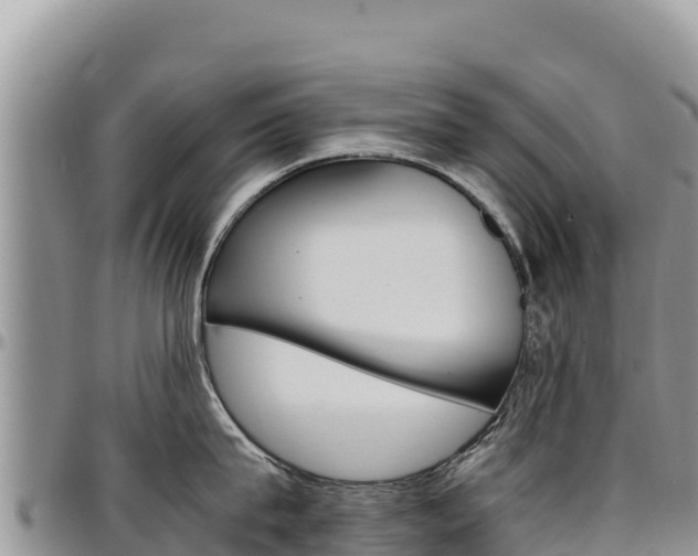 X0000097300815200802151120
