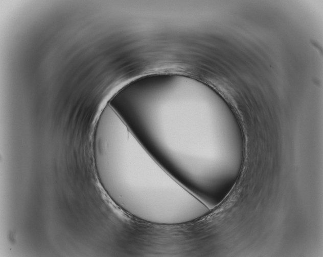 X0000097300816200802151120