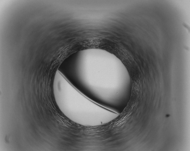 X0000097300818200802151120