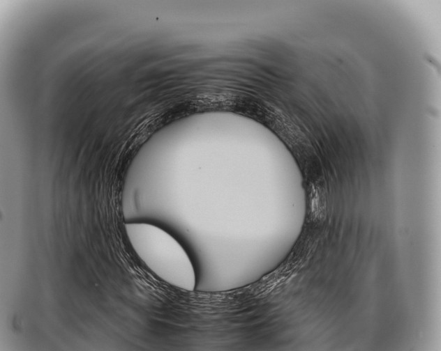 X0000097300819200802151120