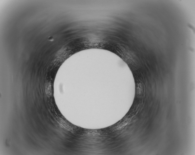 X0000097300820200802151120