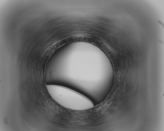 X0000097300821200802151120