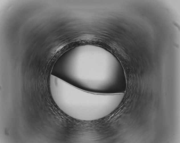 X0000097300822200802151120