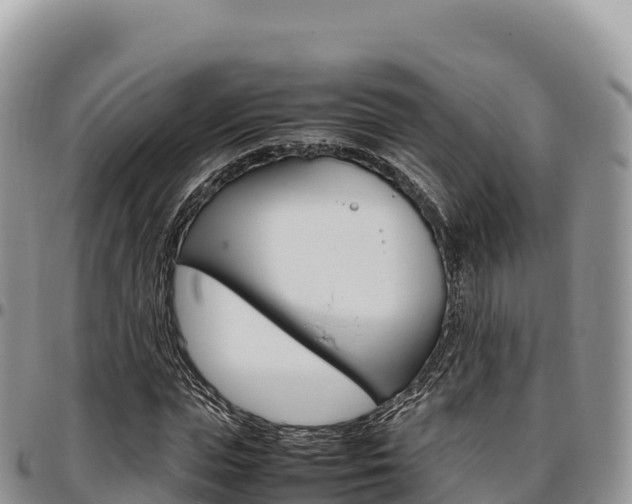 X0000097300823200802151120