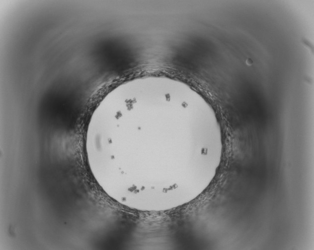 X0000097300824200802151120