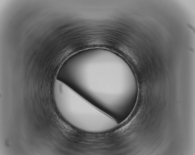 X0000097300825200802151120