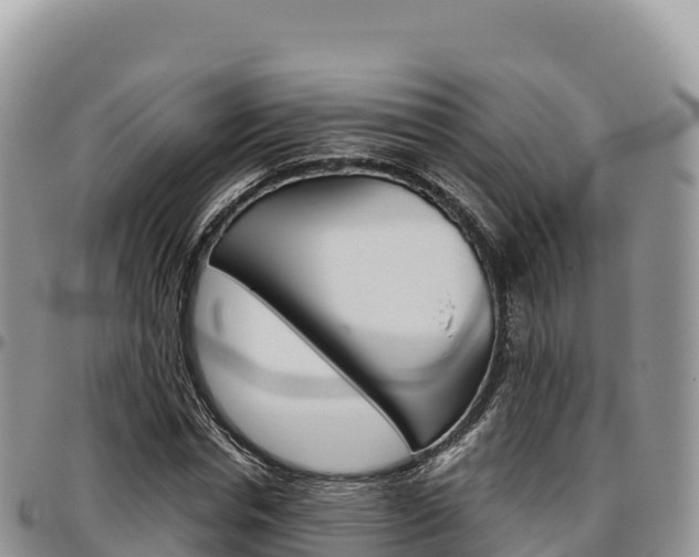 X0000097300826200802151120