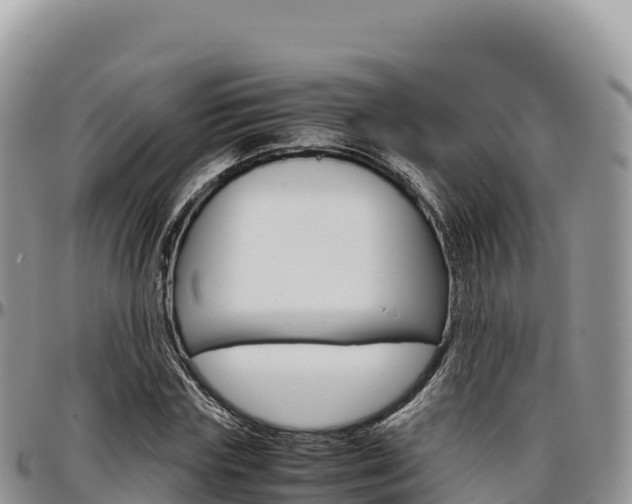 X0000097300827200802151120