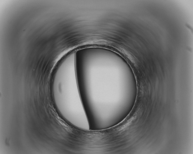 X0000097300830200802151120