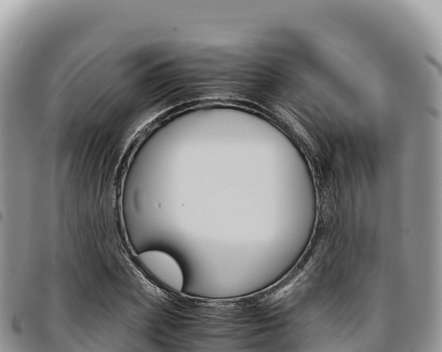 X0000097300831200802151120