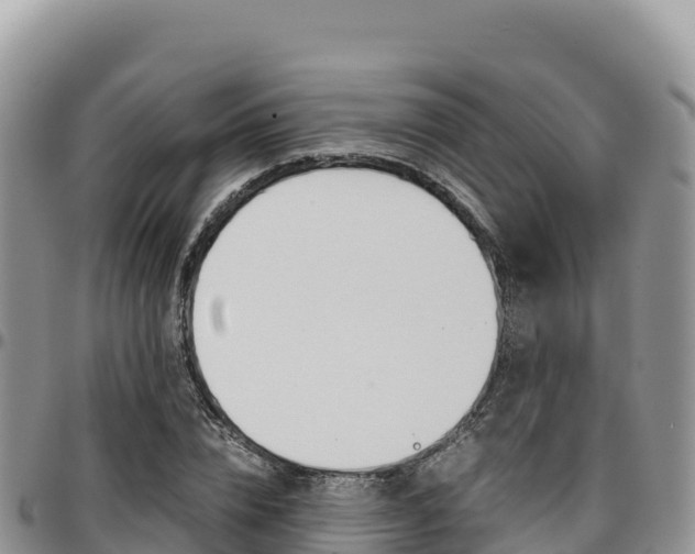 X0000097300832200802151120