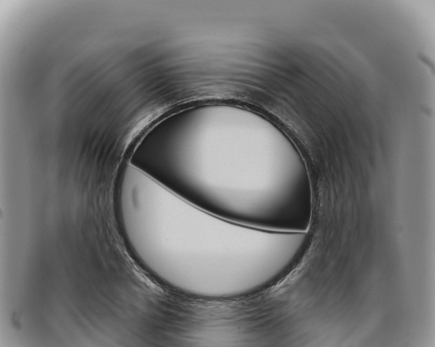 X0000097300834200802151120