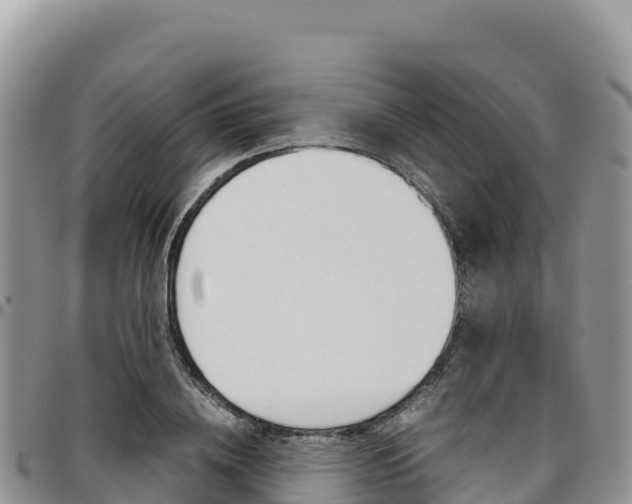X0000097300836200802151120