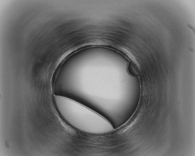 X0000097300837200802151120