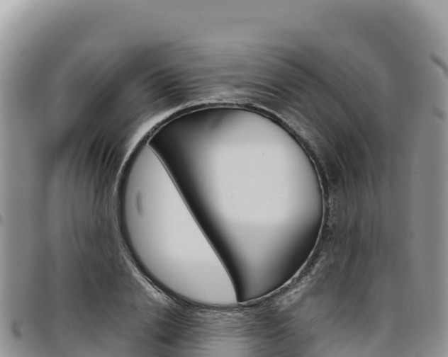 X0000097300838200802151120