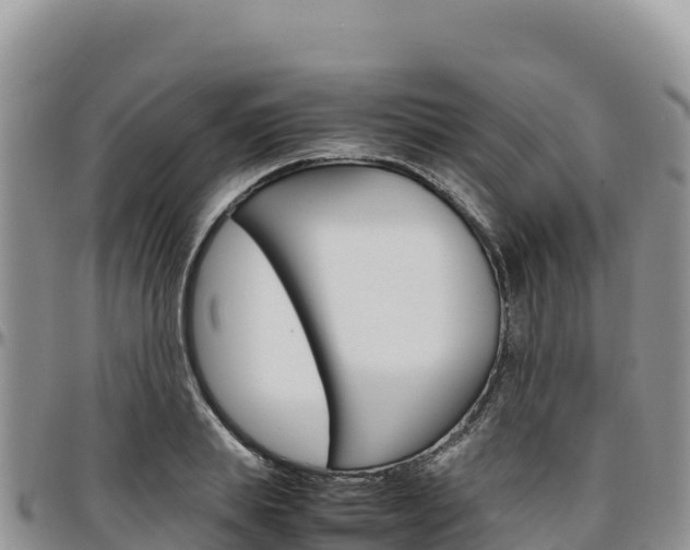 X0000097300839200802151120