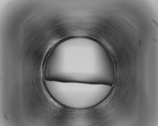 X0000097300840200802151120