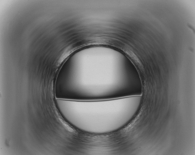 X0000097300842200802151120