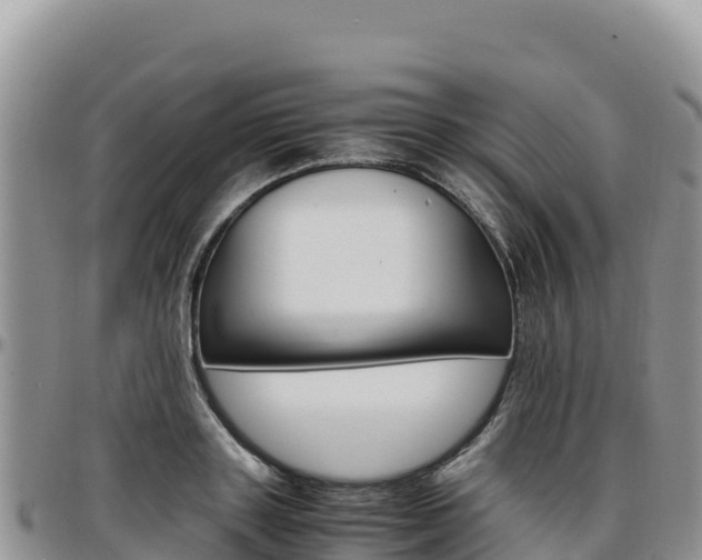 X0000097300843200802151120