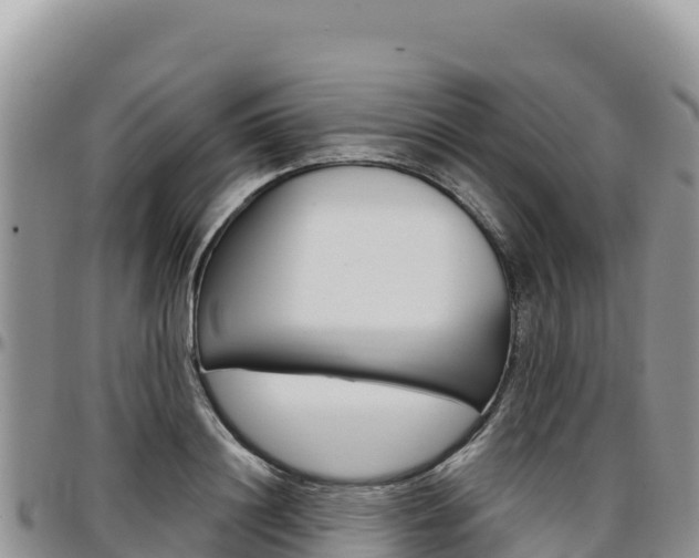 X0000097300844200802151120