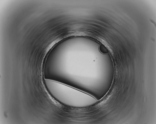 X0000097300845200802151120